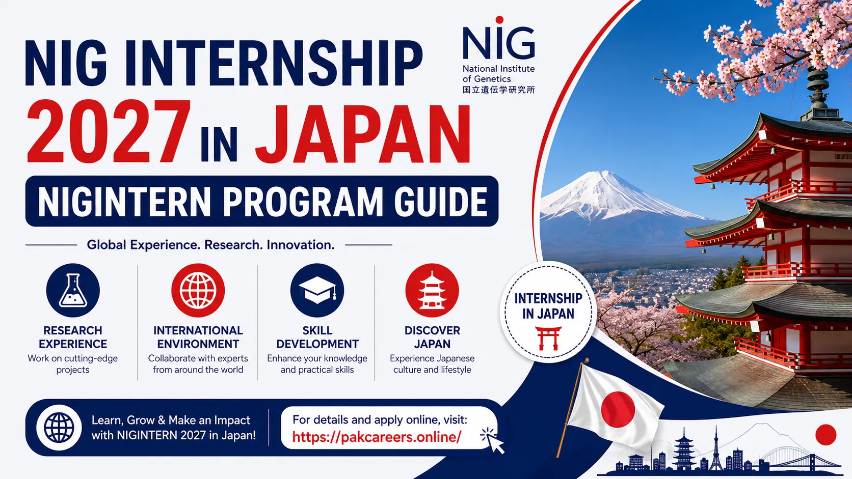 NIG Internship 2027 in Japan NIGINTERN Program Guide